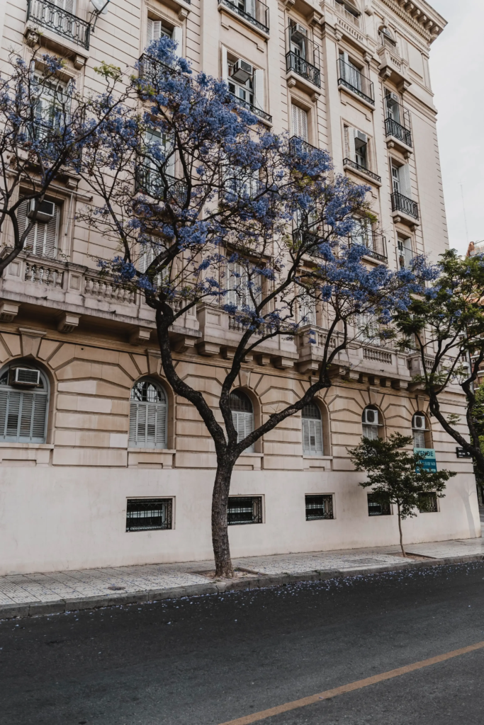 As Fincas Barcelona Por qué yo sigo alquilando en la zona alta de Barcelona (y por qué tú también deberías hacerlo)